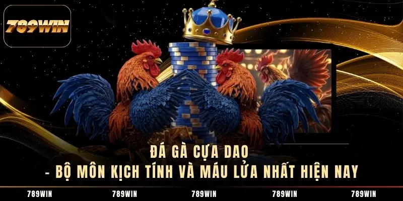 Đá Gà Cựa Dao – Bộ Môn Kịch Tính Và Máu Lửa Nhất Hiện Nay