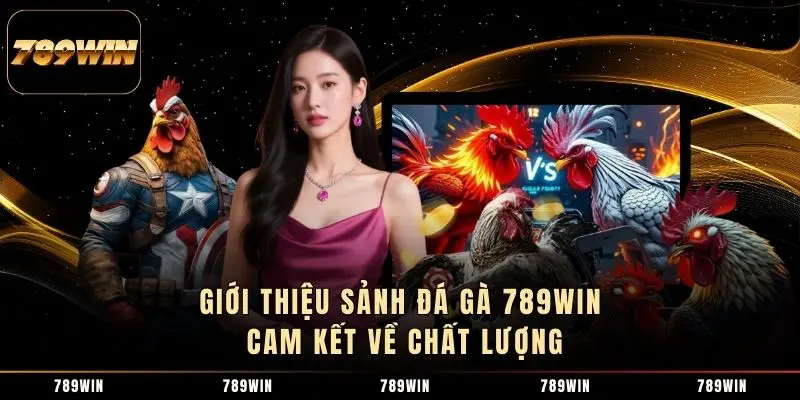 Giới thiệu sảnh đá gà 789WIN cam kết về chất lượng