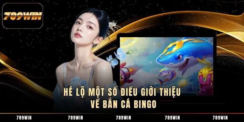 Hé lộ một số điều giới thiệu về bắn cá Bingo