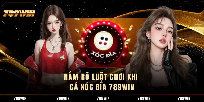 Nắm rõ luật chơi khi cá Xóc Đĩa 789WIN 