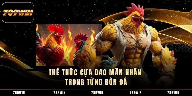 Thể thức cựa dao mãn nhãn trong từng đòn đá