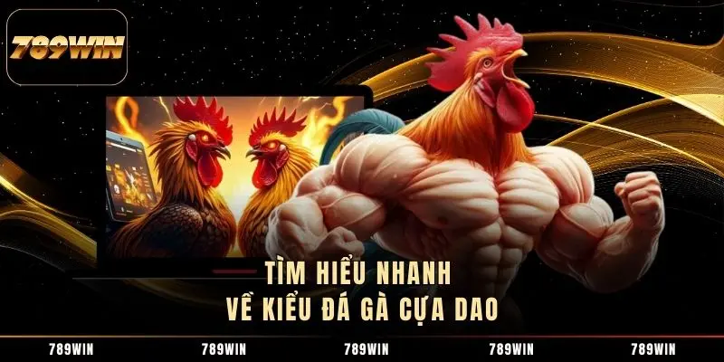 Tìm hiểu nhanh về kiểu đá gà cựa dao