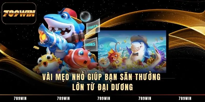 Vài mẹo nhỏ giúp bạn săn thưởng lớn từ đại dương